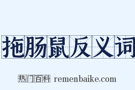 拖肠鼠反义词是什么意思的图片
